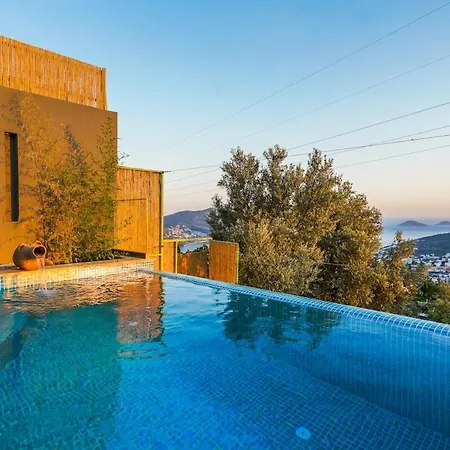 Villa Deniz Manzaralı, Merkeze Yakın, Jakuzili Balayı Villası *